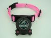 dog collar with built in retractable leash