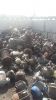   50 ton mixed motors ...
