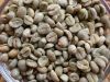 Arabica coffee beans f...