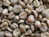 Arabica coffee beans from Yunnan Province China