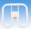 2D Flouorescent Lamp(1...