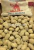 Potatoes Pommes de Terre, Patatas Holland Export Import Victoria Mondial