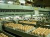 Eggs, Oeufs, Huevos Holland Export Import Victoria Mondial