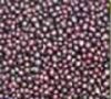 Organic black currant