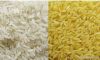 Rice | Rice Exporter |...
