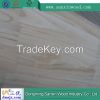 Paulownia Finger Joint Boards