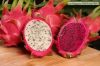 Dragon Fruits For Sale...