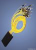 Fiber Optic PLC splitter