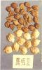 chick-pea