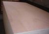 supply plywood(+86 139...