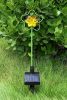 Solar Garden Light, Solar Led Light, Solar Powered Outdoor Lights