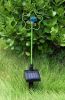 Solar Garden Light, Solar Led Light, Solar Powered Outdoor Lights