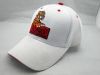 Promotional baseball c...