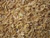 Wood pellets &Rice Husk pelltes