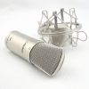 Large Diaphragm Studio Microphone