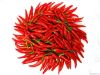 Red Chilli