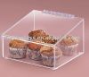 Acrylic Bread/cupcake Display Case