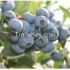organic high quality f...