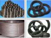 Black iron wire (Annea...