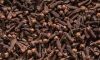 Wholesale low price hot sale high quality clovecloves pricedry cloves