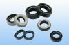 Oil Seals