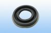 Oil Seals