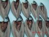 MACKEREL - SCOMBER SCO...