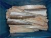 Pacific hake fillets IQF