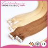 Remy Tape Hair Extension