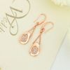 fashion alloy  earrings