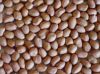 Sell Groundnut kernels...