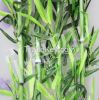 Artificial Bamboo  (Home Decoration)