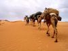 Mauritania vacations