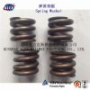 Fe6 Railway Double coil spring Washers