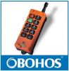 Double Speed Industrial Radio Remote Control Pendant (HS-10D8)