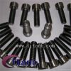 titanium screw