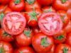 fresh red tomato from ...