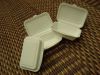 biodegradable lunch boxes