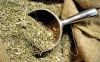 Yerba mate/ Mate tea /