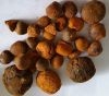 Ox gallstones, ox cow gallstones, Cow Gallstones, natural dried Ox,Cow, Cattle , Bile Gallstone, Bezoar, Calculas Bovis, Niu Huang