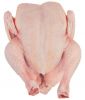 Processed Halal Certified Frozen Whole Chicken
