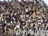 Tatary buckwheat shell