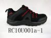 Hiking  shoes