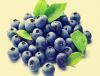 Natural Blueberry Extr...
