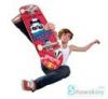 Skateboard sticker, Snowboard sticker, Surf sticker, BMX sticker