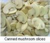 canned vegetables