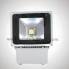 LED Flood Light