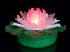 LED Water Lily