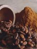 Cocoa Beans High Quality