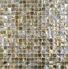 Mother of Pearl Mosaic on Mesh Tiles